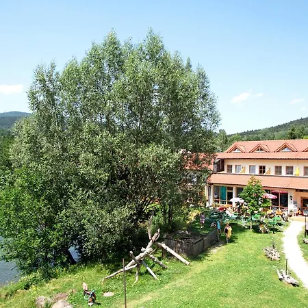 Feriendorf Am Hohen Bogen 101s * Arrach